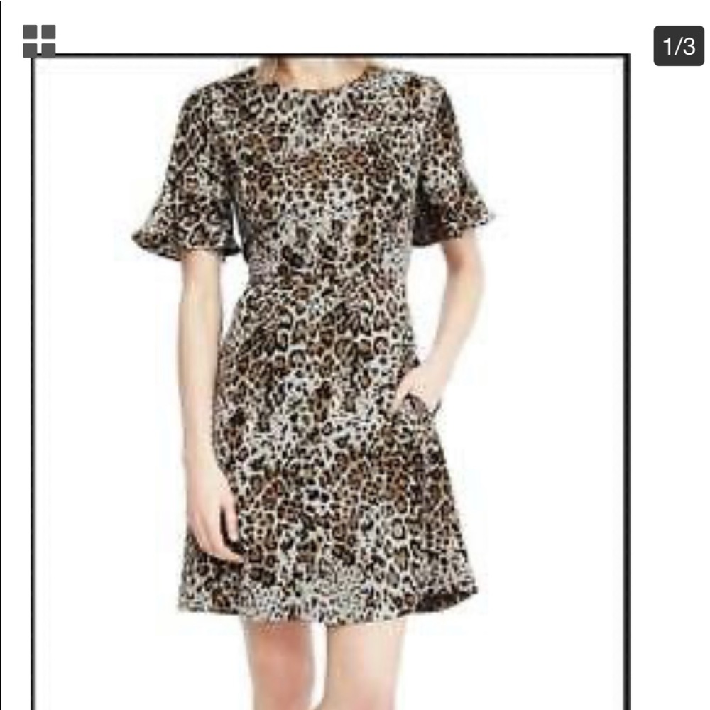 Banana Republic Leopard flutter sleeve dress SZ 12